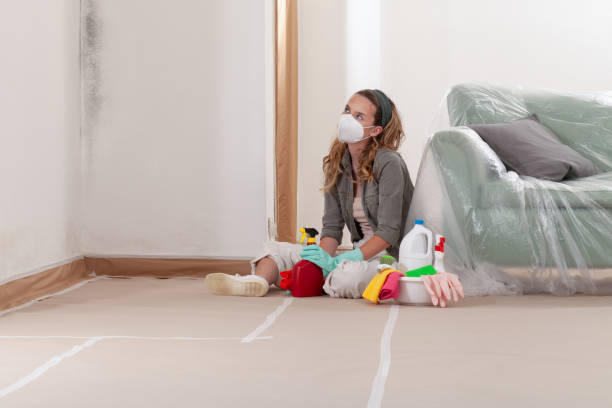 Reliable Mold Remediation contractor in Glenwood, GA by WQB Mold Removal